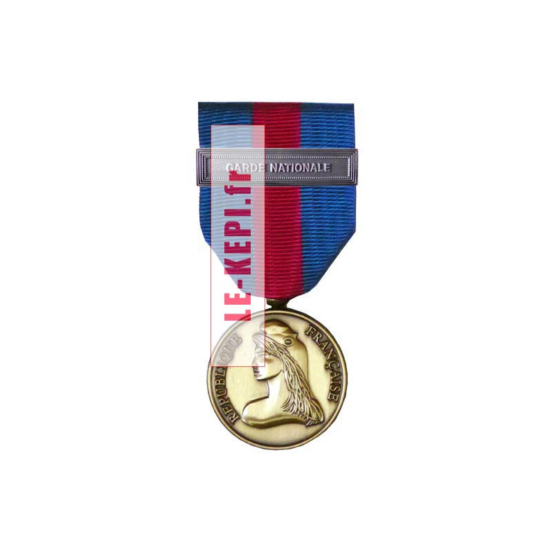 Médaille bronze Réserviste volontaire défense et sécurité intérieure, agrafe Garde Nationale
