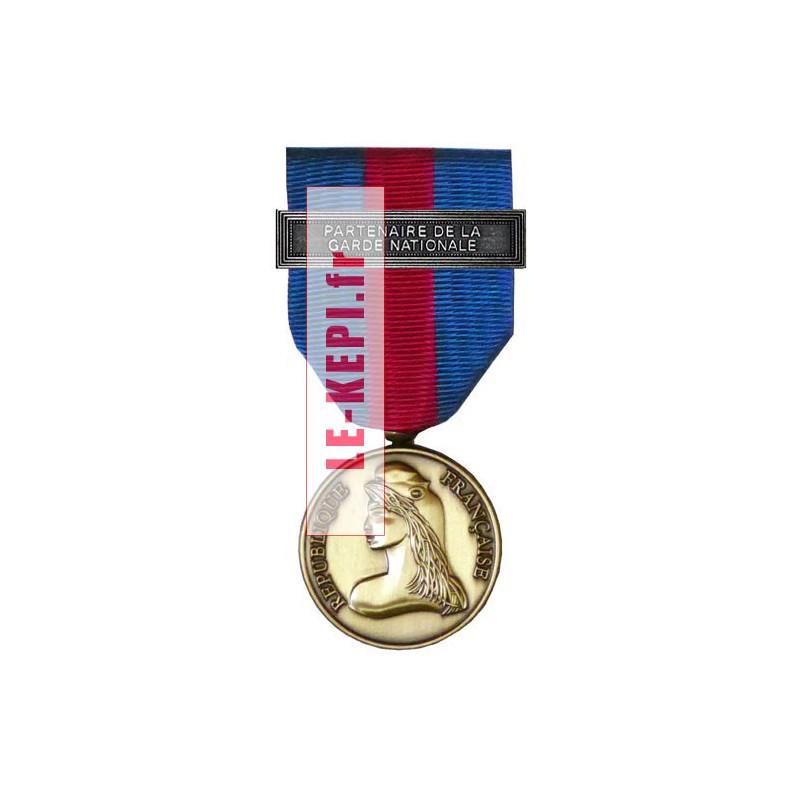 Médaille bronze Réserviste volontaire défense et sécurité intérieure agrafe Partenaire de la Garde Nationale