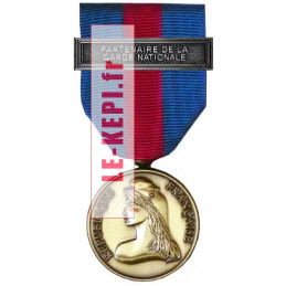 Médaille Réserve Citoyenne bronze Réserviste volontaire défense et sécurité intérieure