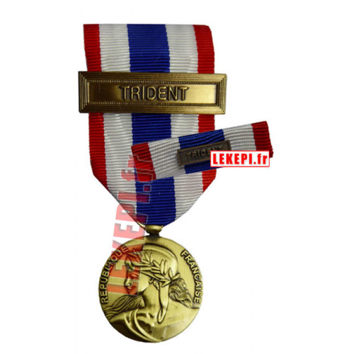 médaille Protection Militaire du Territoire